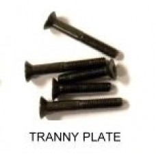 Turtle Racing Replacement Hardware Kit - Tranny plate screw kit