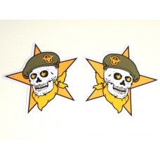 Star Skulls w/Beret Decals