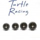 Turtle Racing HD Pinion Gears 16T-22T (TR Clutch System ONLY) 